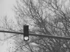 Stoplight BW.jpg (116kb)